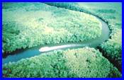 aerial.jpg (6283 bytes)