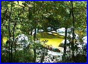 Mossman Gorge National Park